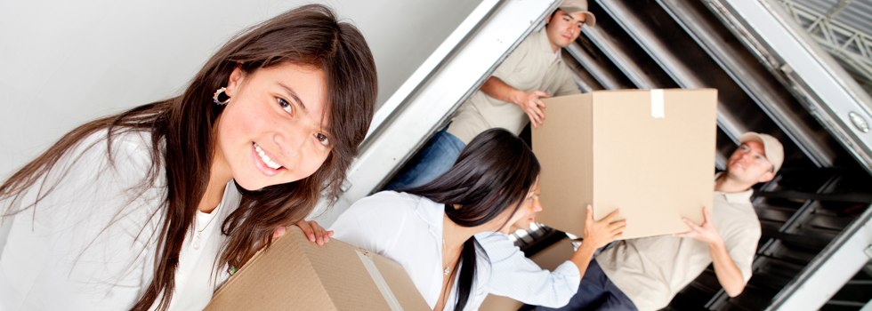 Professional Removalists Rossarden